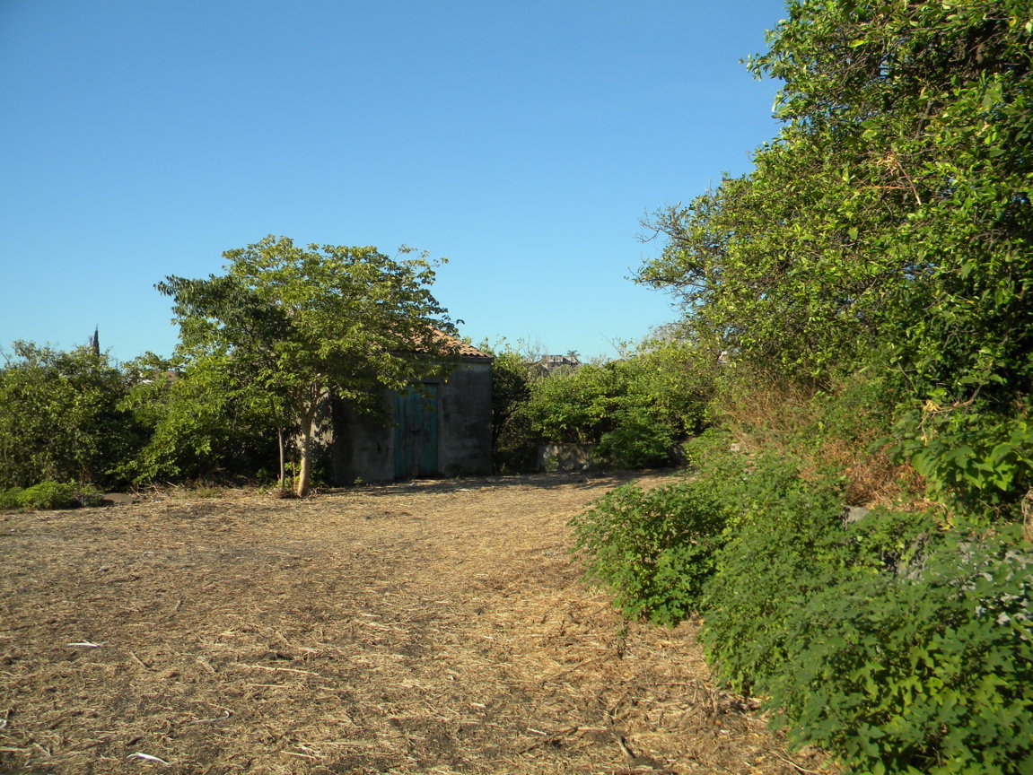 DSCN8072 .JPG
